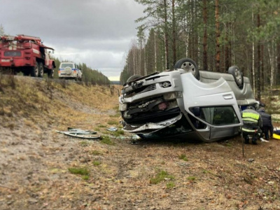 В Карелии пострадали семь человек из-за съезда микроавтобуса в кювет